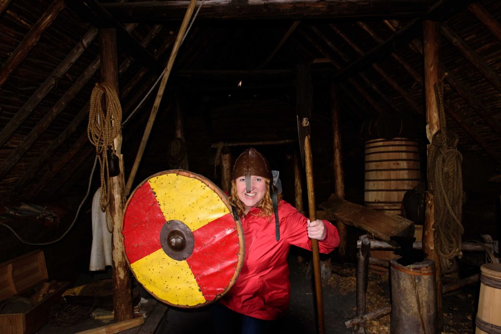 Newfoundland, canada, viking settlement, l'anse aux meadows