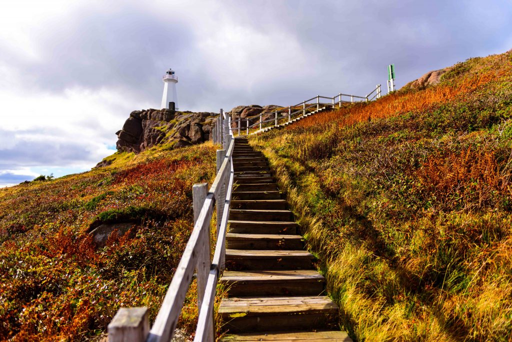 Newfoundland, Canada, lighthouse, lighthouses