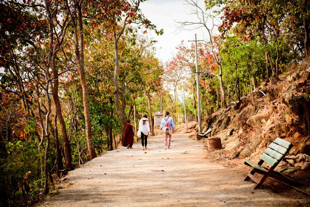 Myanmar Monk walk