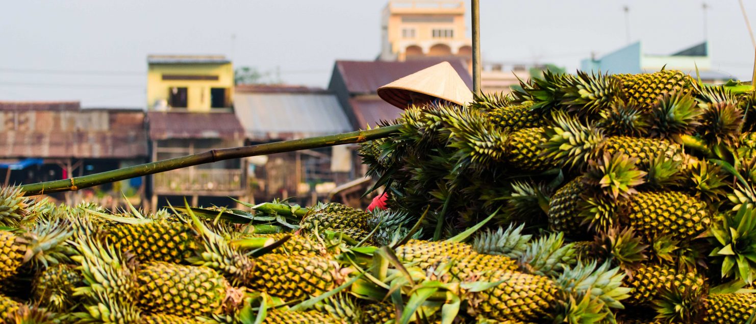 Vietnam, floating market